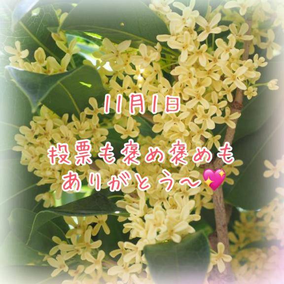 11月1日　感謝のお手紙です??