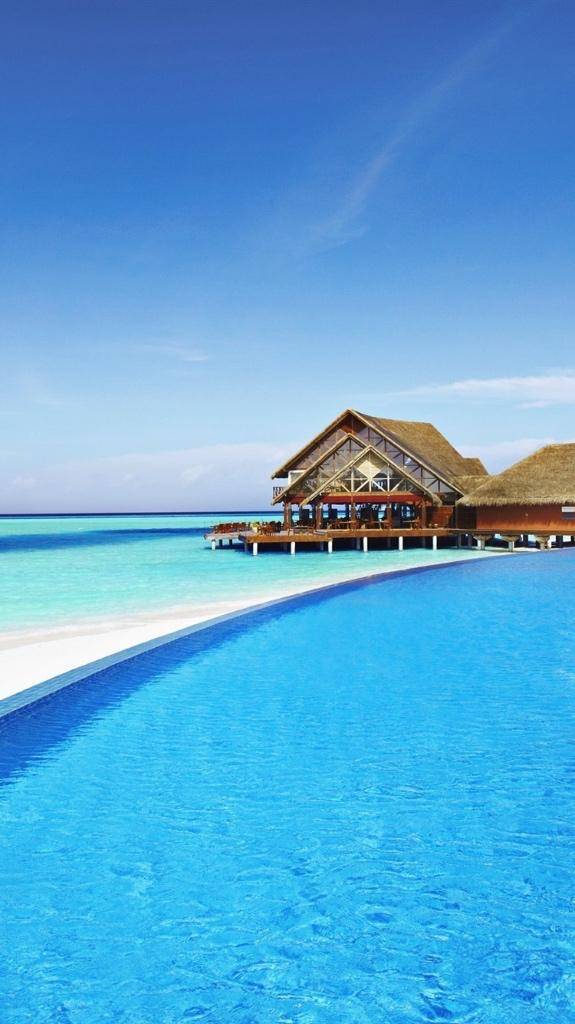 ありがとうございました