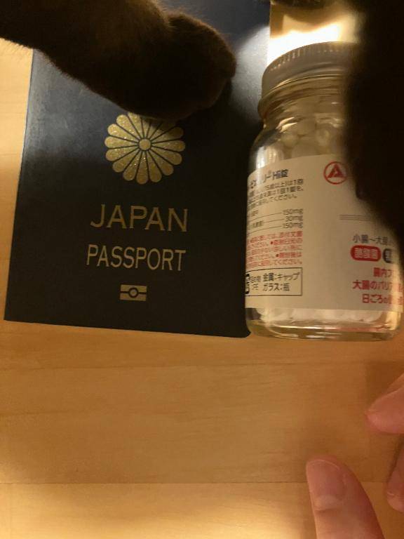 [お題]from:課長補佐代理さん