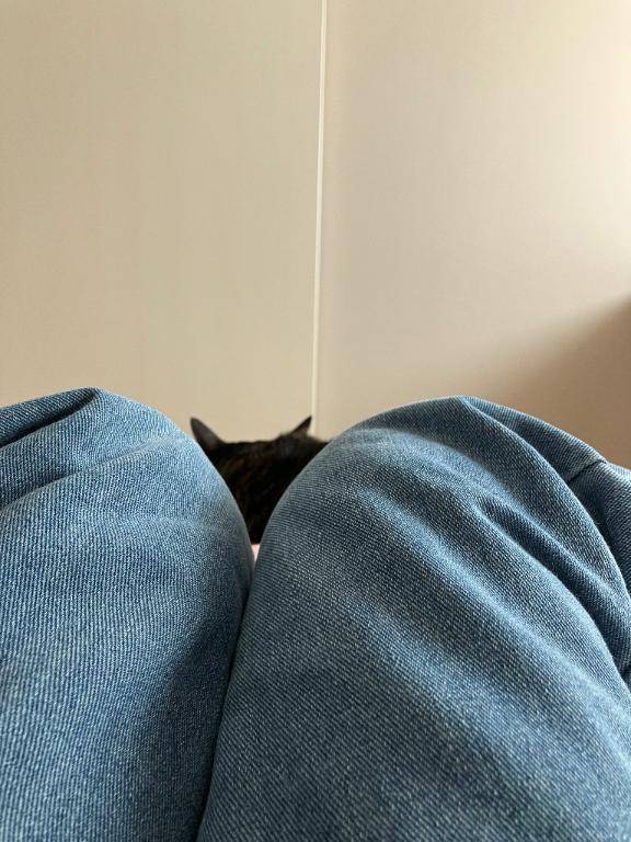 [お題]from:コワッパさん