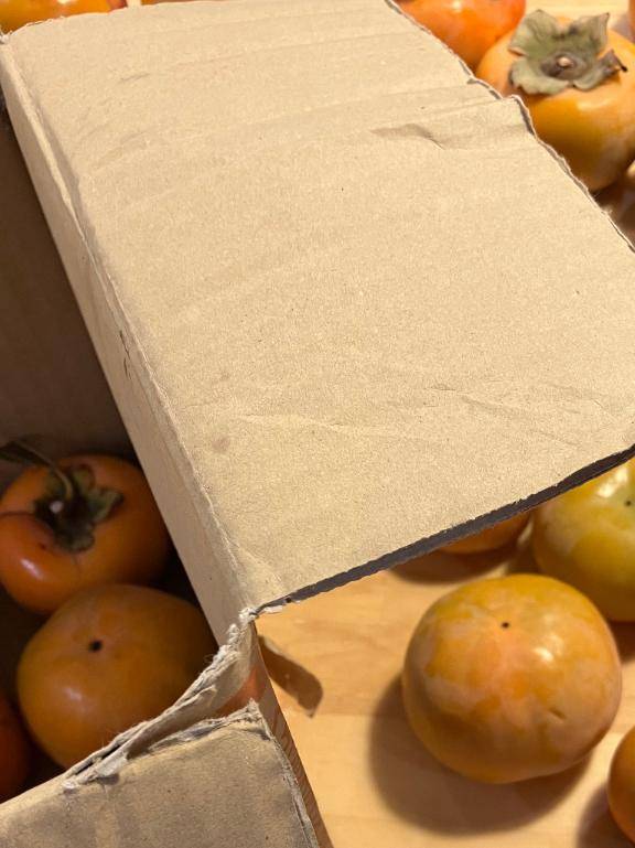 ありがとうございました