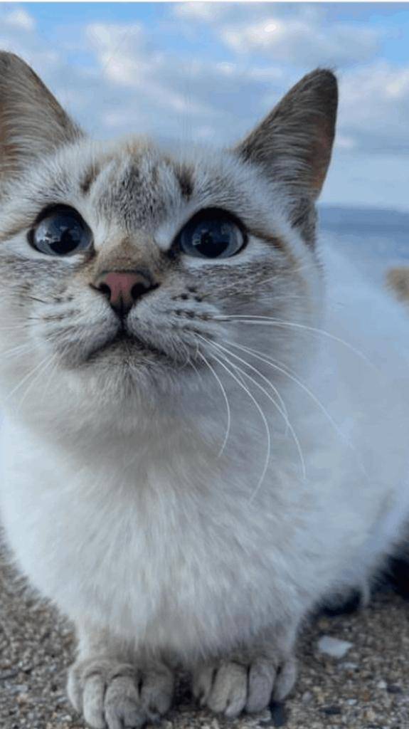 ☆ 11／15 ありがとうの気持ち☆