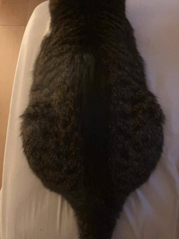 [お題]from:トンボさん