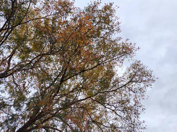 今日は16時半まで??