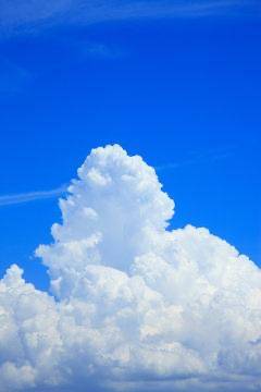 [お題]from:真剣な眼差しがステキさん