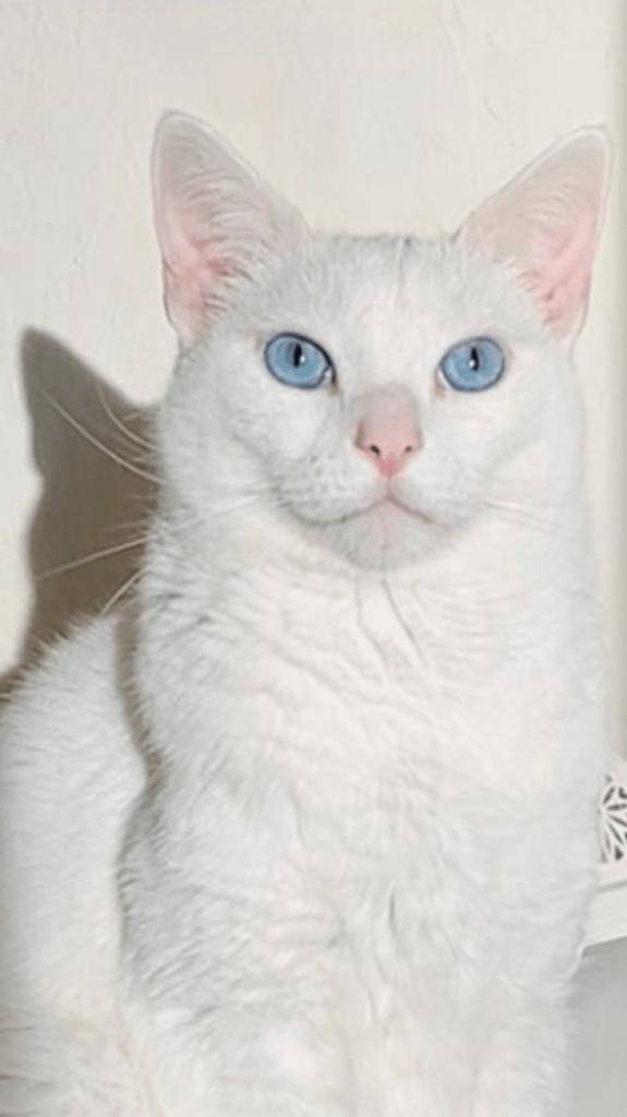 ☆ 11／21 ありがとうの気持ち ☆