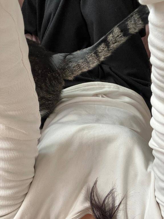 [お題]from:アヒルさん