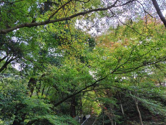 おはようございます?