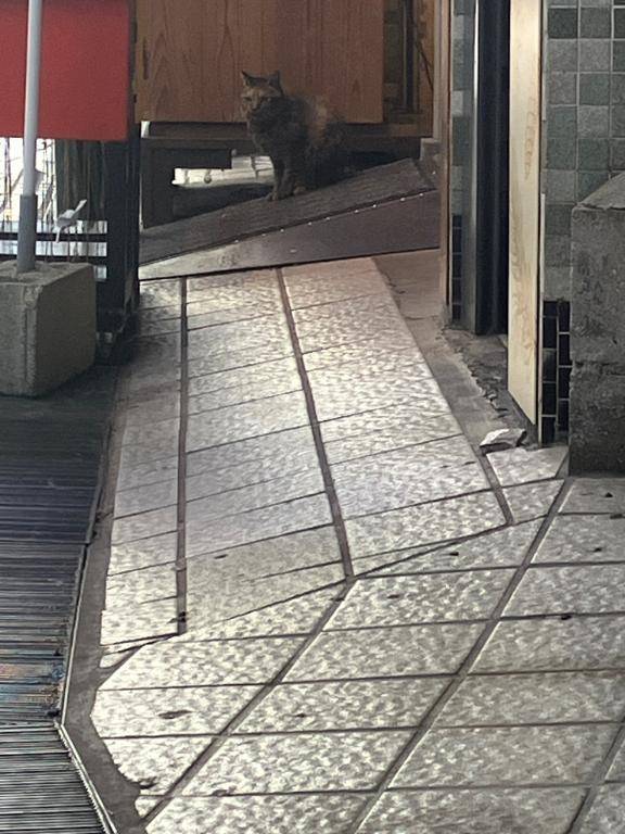 [お題]from:怖いんだけどさん