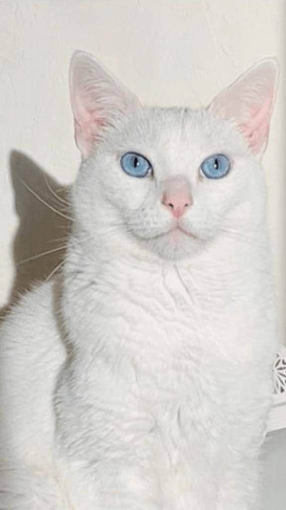 ☆１１／２９　ありがとうの気持ち ☆