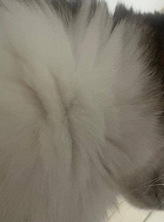 [お題]from:はなさん