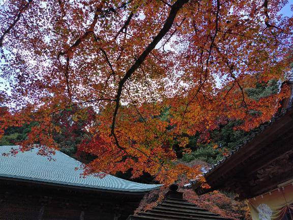 明日も宜しくです???