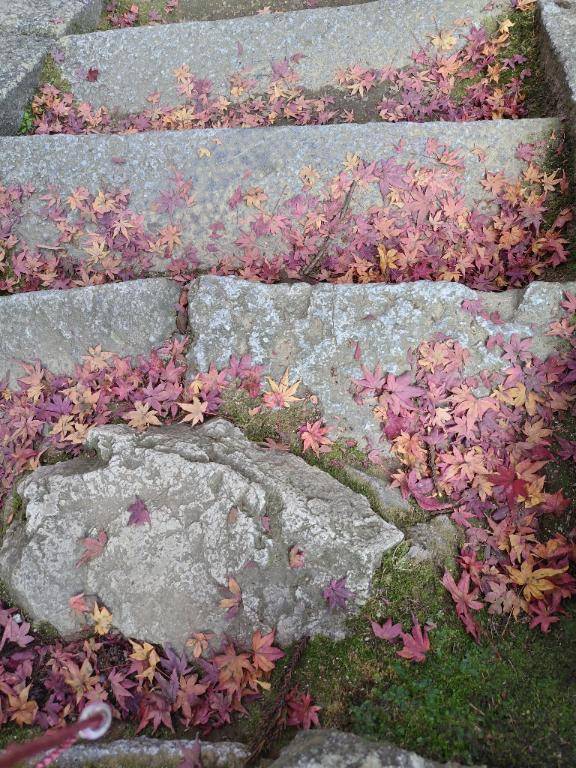 おはようございます?