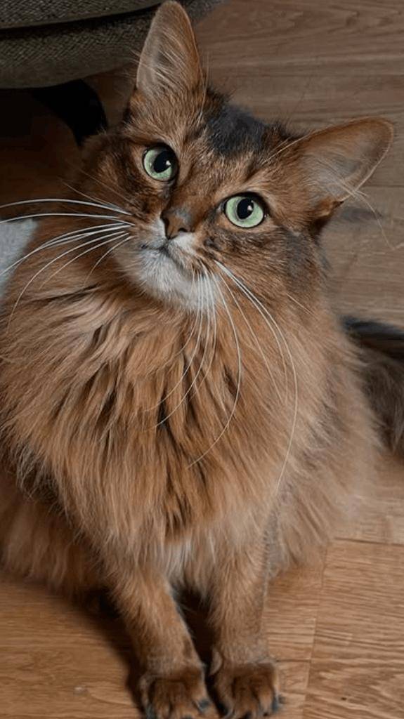 ☆ 12／5 ありがとうの気持ち ☆