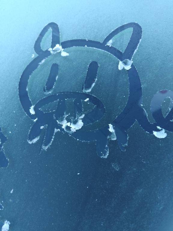 おはようございます?