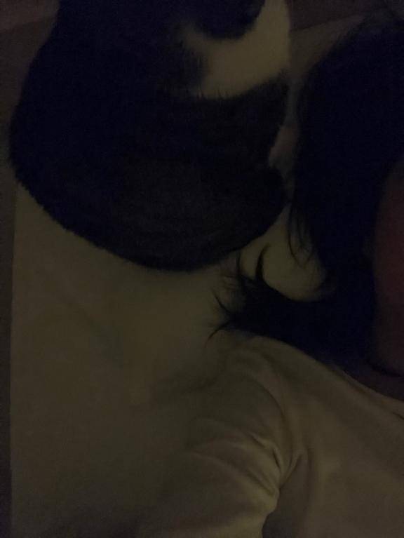 [お題]from:クリーミー王子さん