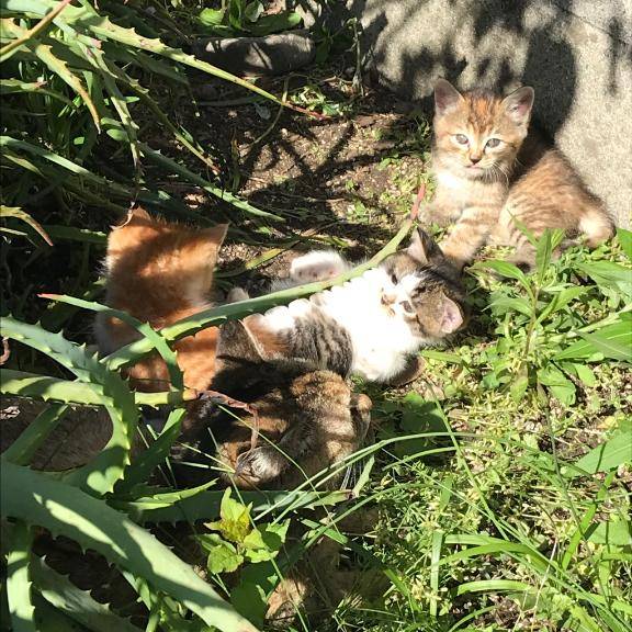 [お題]from:変態パンストPちゃんさん