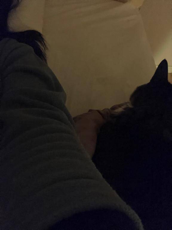 ありがとうございました