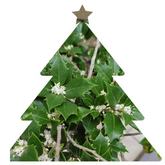 出勤してますよ?