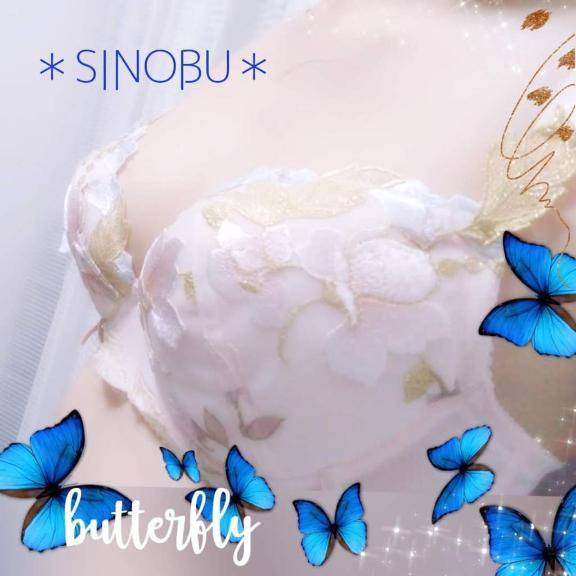 Wモーターさんへ