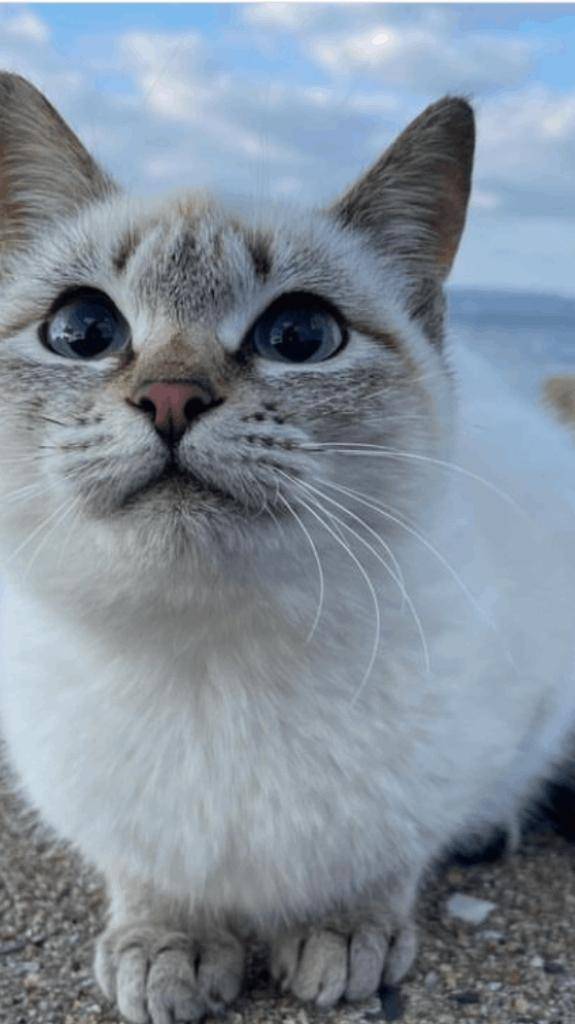 ☆ 12／27 ありがとうの気持ち ☆