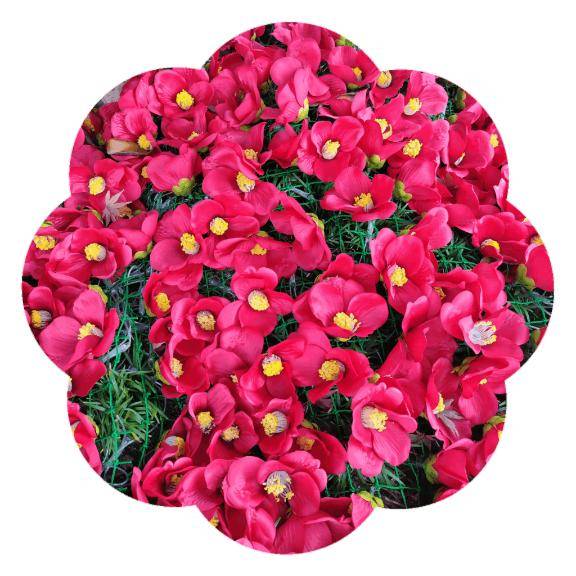 おはようございます?