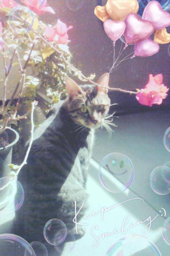 [お題]from:怖いんだけどさん