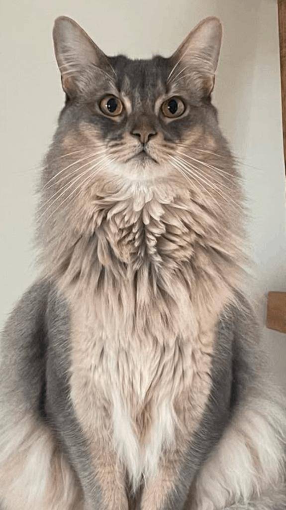 ☆12／29 ありがとうの気持ち☆