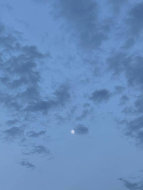 [お題]from:猫と遊ぶさん