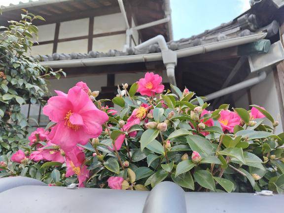 本日最後の晩餐へ