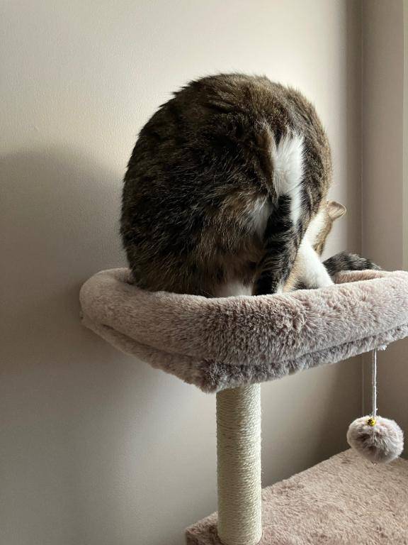 [お題]from:くっちゃねさん