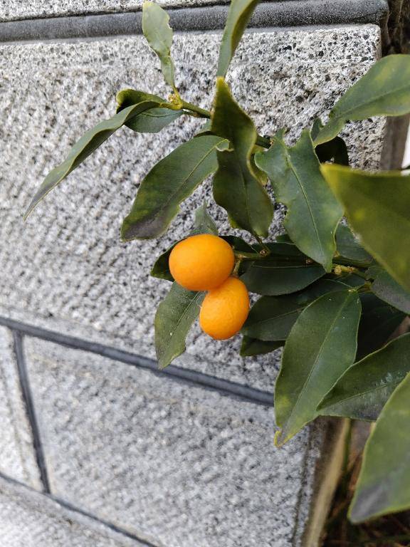 おはようございます??