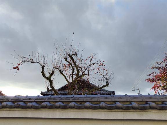 おはようございます???