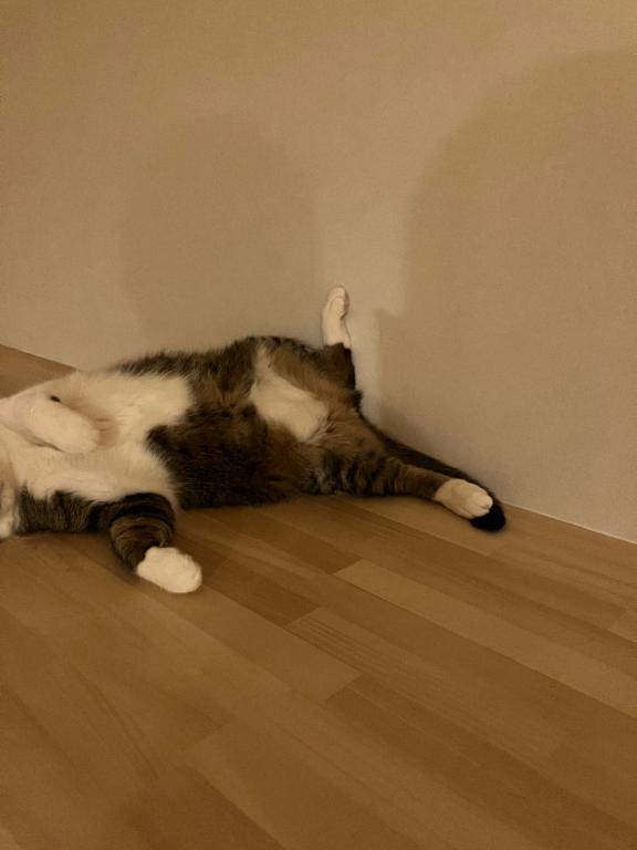 ありがとうございました