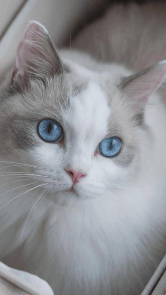 ☆1／10  ありがとうの気持ち ☆