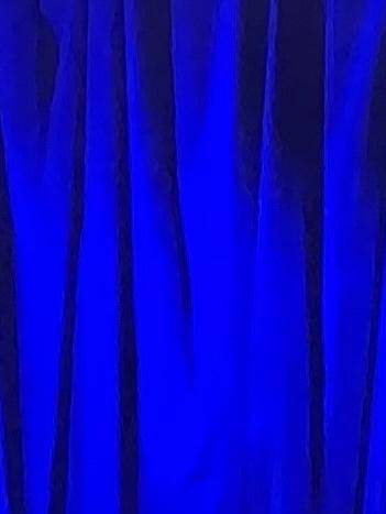 [お題]from:トイプーさん