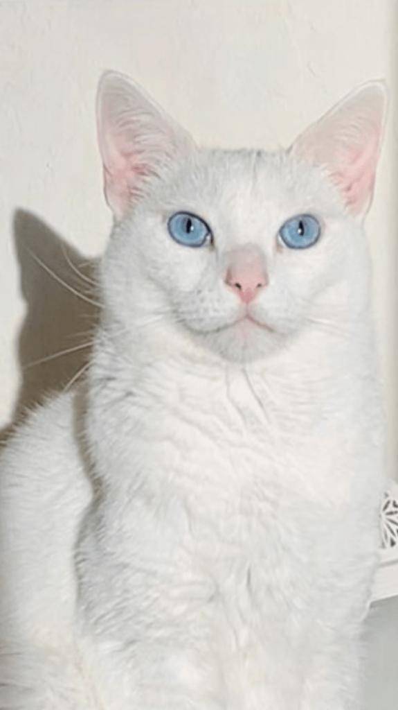 ☆ l1／14 ありがとうの気持ち ☆