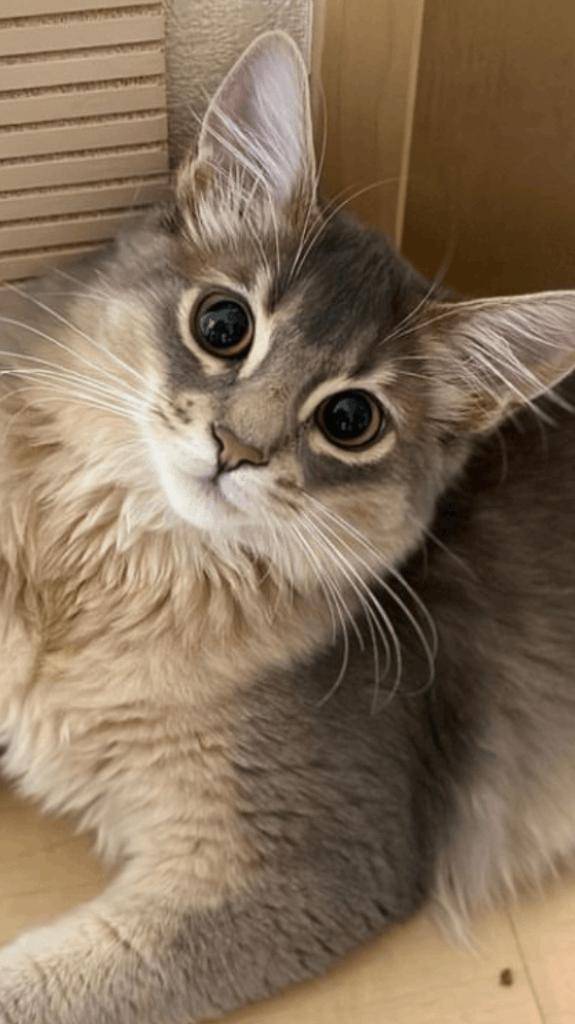 ☆ 1／20 ありがとうの気持ち ☆