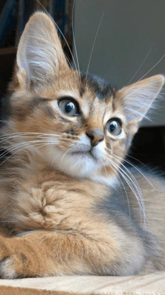 ☆ 1／24 ありがとうの気持ち ☆