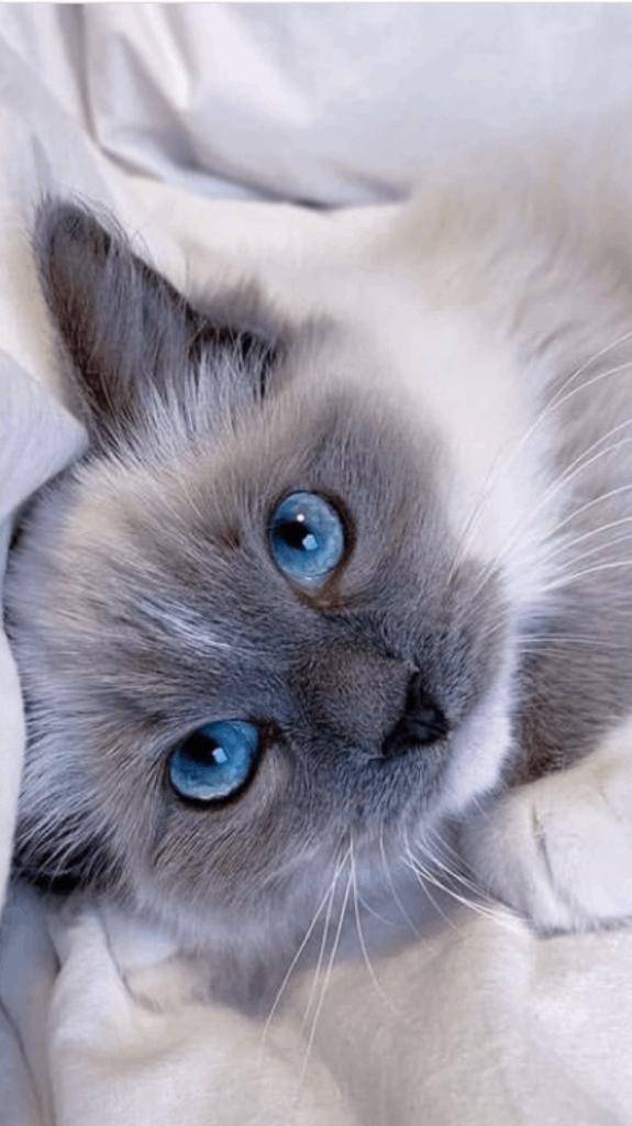 ☆ 1／30 ありがとうの気持ち ☆