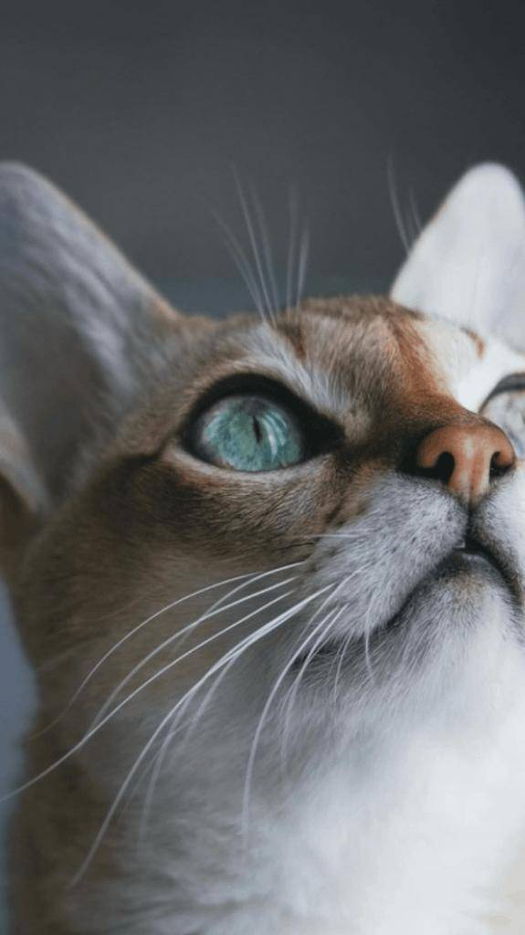 ☆ 1／31 ありがとうの気持ち ☆