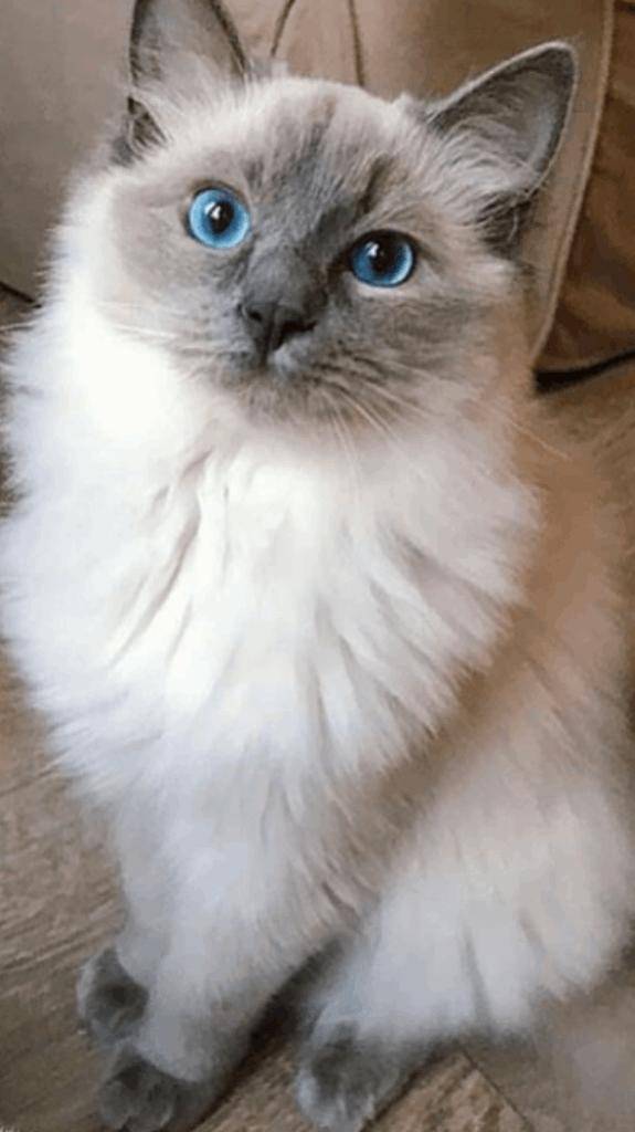 ☆ 2／2 ありがとうな気持ち ☆