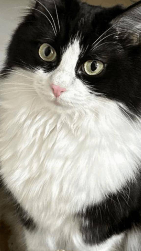 ☆ 2／6 ありがとうの気持ち ☆