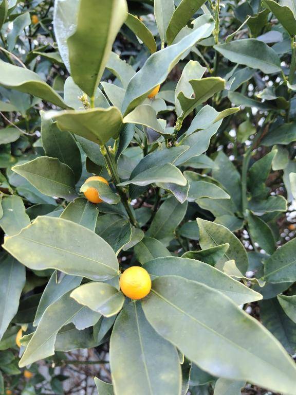 出勤してますよ?