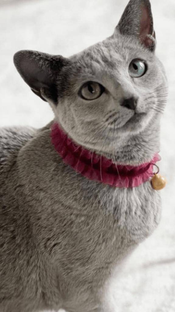 ☆ 2／８　ありがとうの気持ち ☆