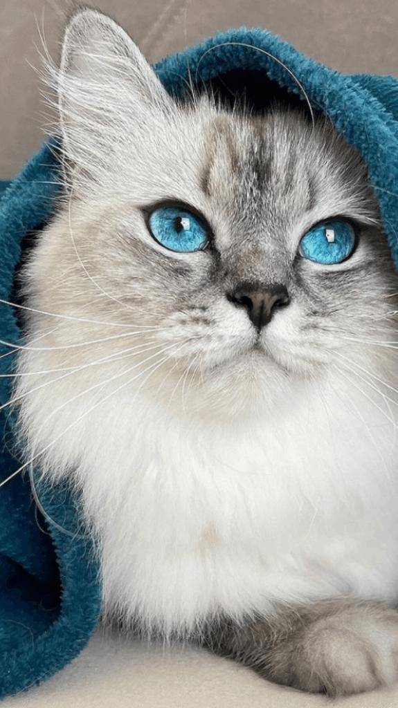 ☆ 2／11 ありがとうの気持ち ☆