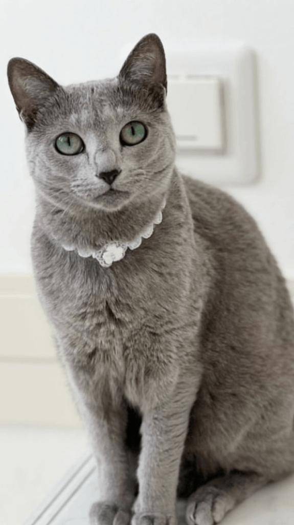 ☆ 2／14 ありがとうの気持ち ☆