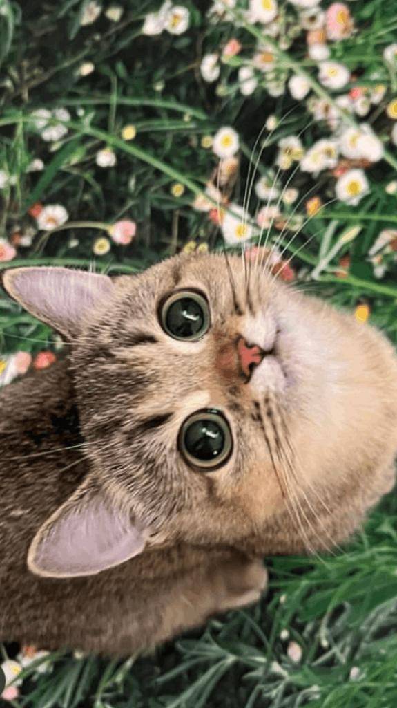 ☆ 2／16 ありがとうの気持ち ☆