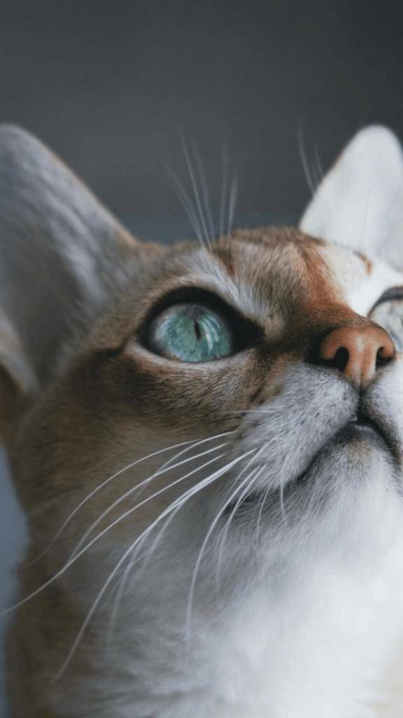 ☆ 2／17 ありがとうの気持ち ☆