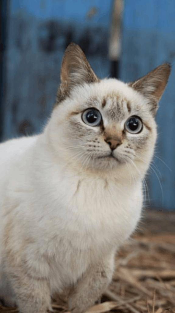 ☆ 2／17 ありがとうの気持ち ☆